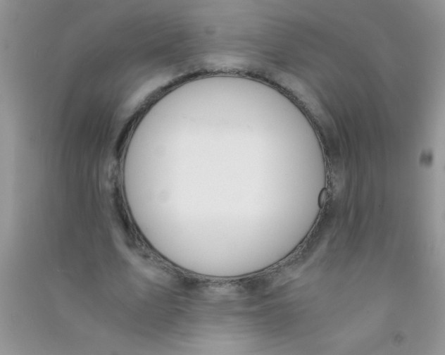 X0000090740583200708172009