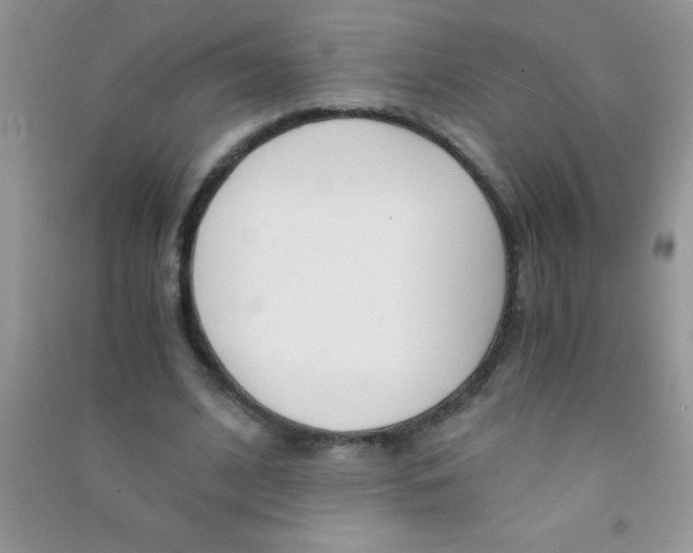 X0000090740584200708172009