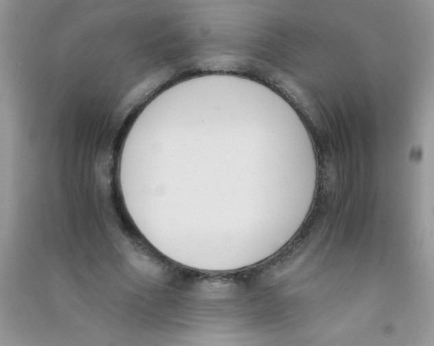 X0000090740586200708172009