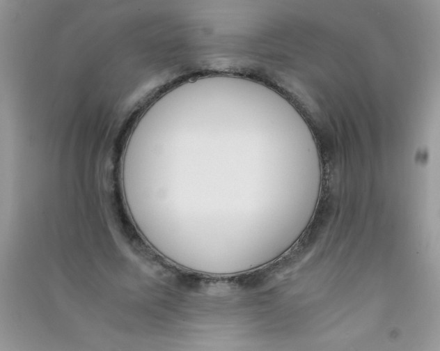 X0000090740587200708172009