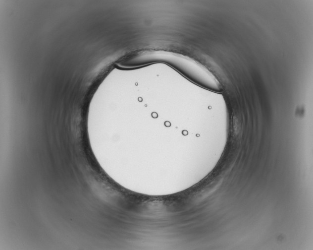 X0000090740588200708172009