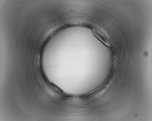 X0000090740589200708172009