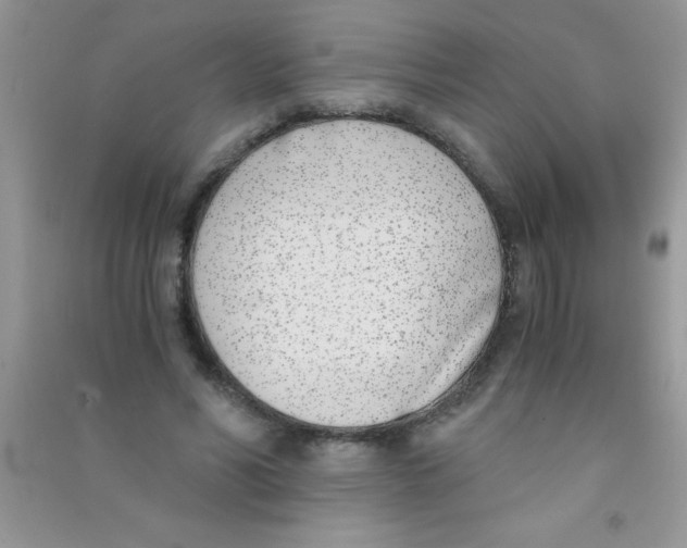 X0000090740590200708172009