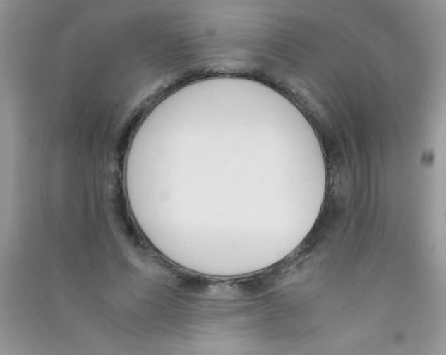 X0000090740591200708172009