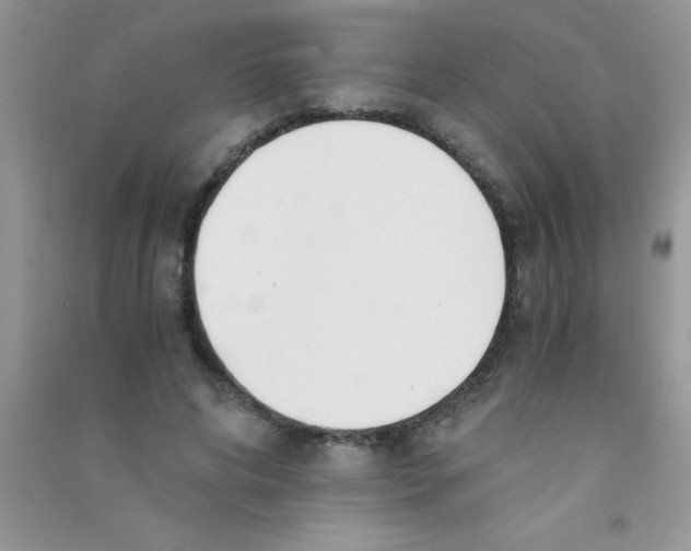 X0000090740592200708172009