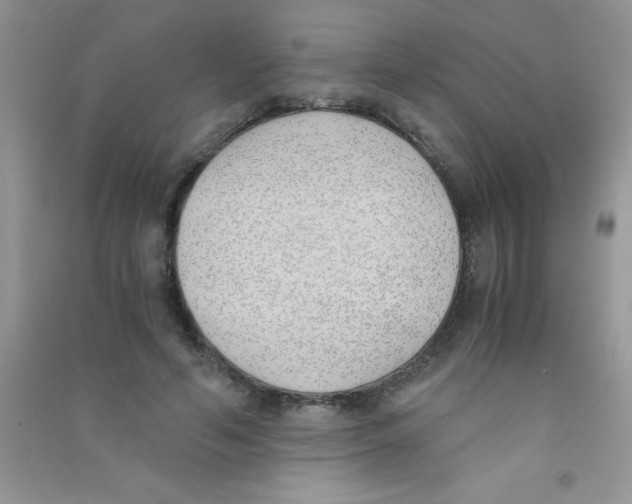 X0000090740594200708172009