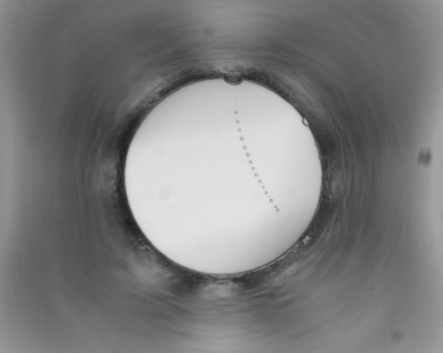 X0000090740595200708172009