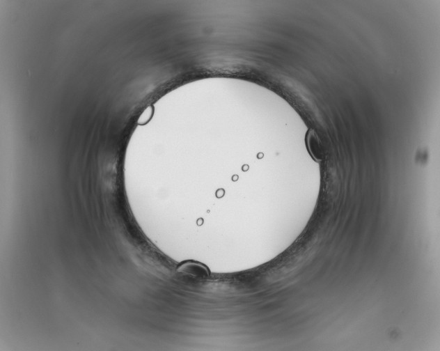 X0000090740596200708172009