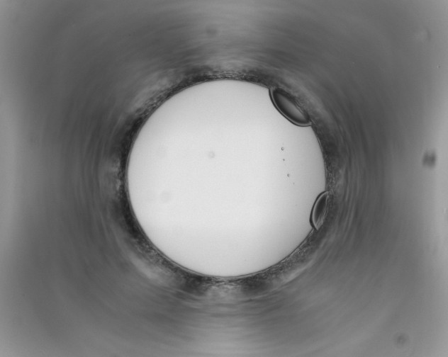 X0000090740599200708172009