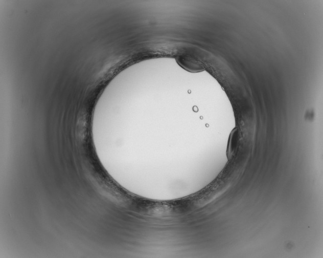 X0000090740600200708172009