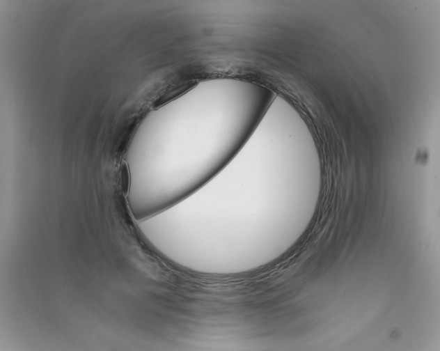 X0000090740601200708172009