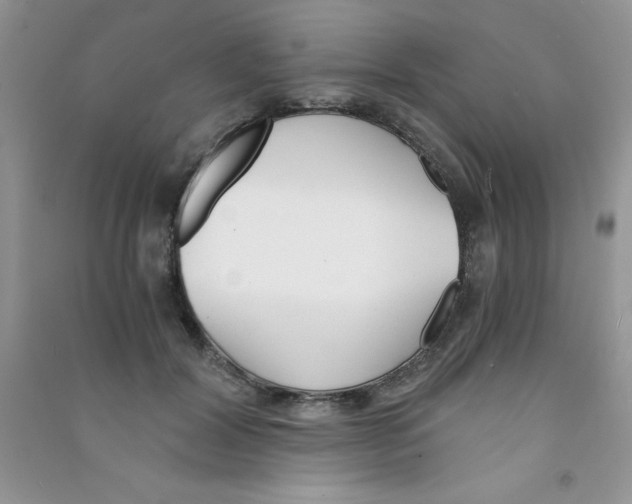 X0000090740604200708172009