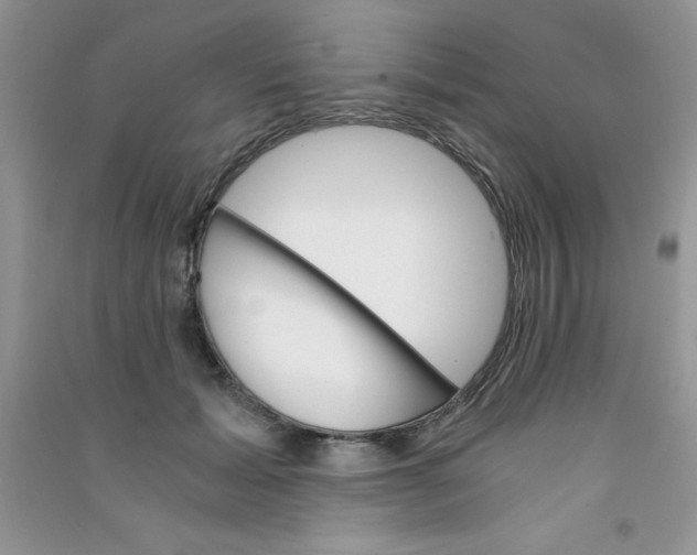 X0000090740605200708172009