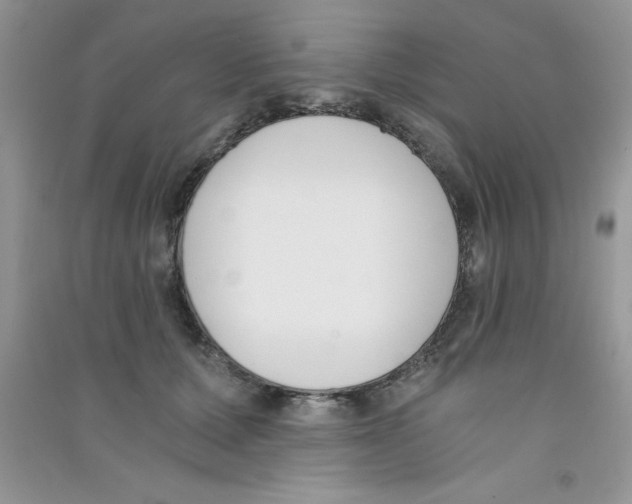 X0000090740607200708172009