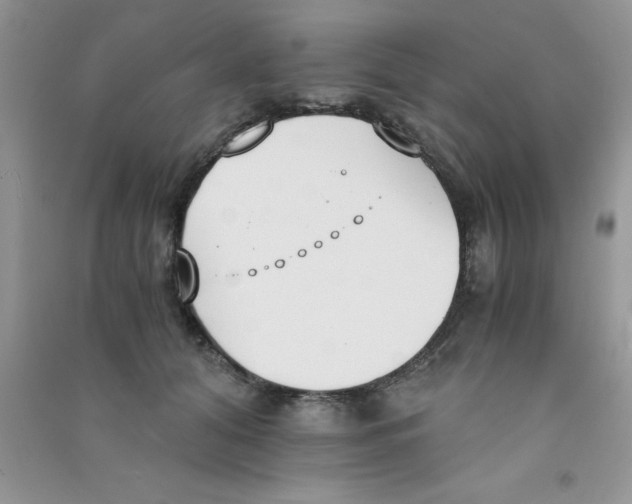 X0000090740608200708172009