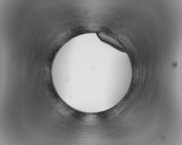 X0000090740609200708172009