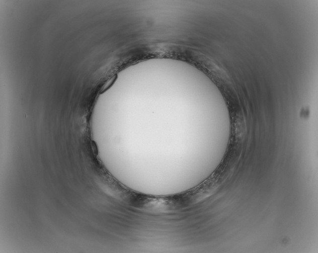 X0000090740611200708172009