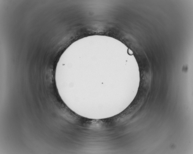 X0000090740612200708172009