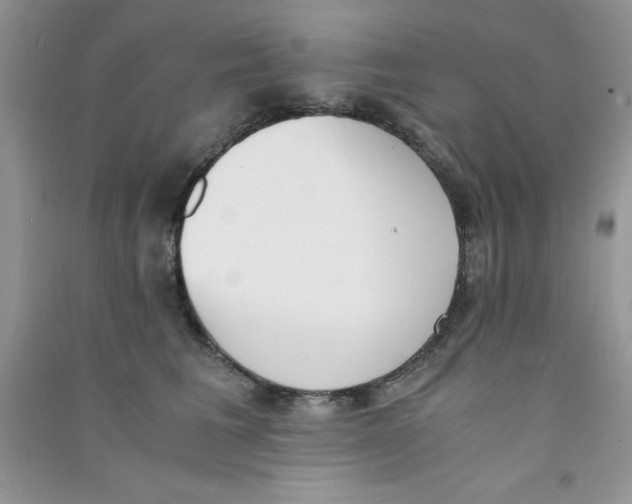 X0000090740613200708172009