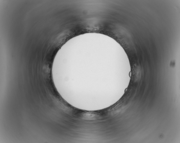 X0000090740614200708172009