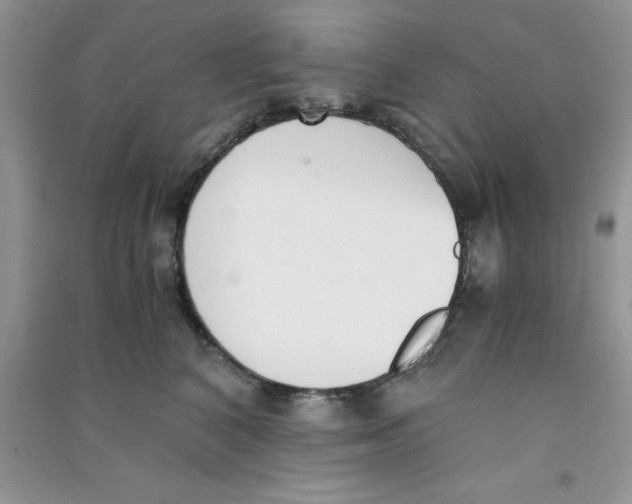 X0000090740616200708172009