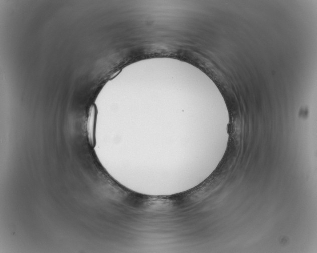 X0000090740617200708172009