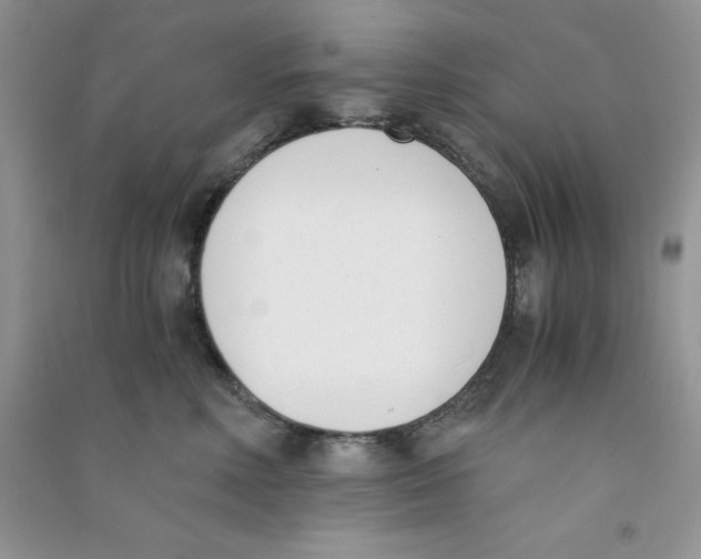 X0000090740618200708172009