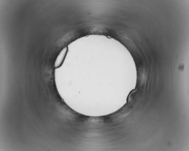 X0000090740619200708172009