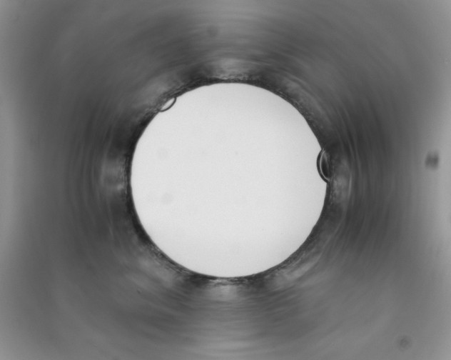 X0000090740620200708172009