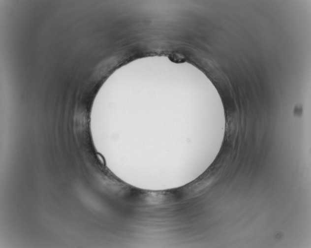 X0000090740623200708172008