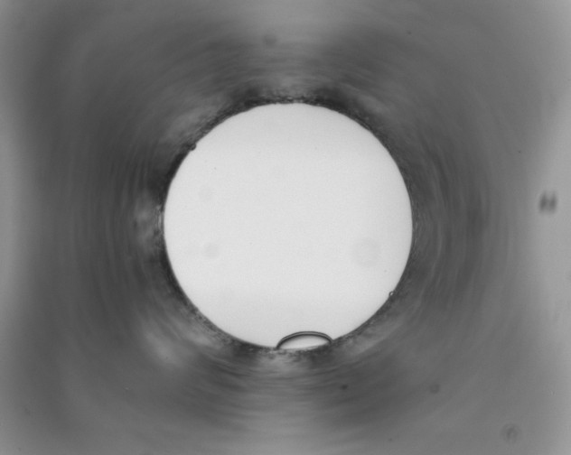 X0000090740624200708172008