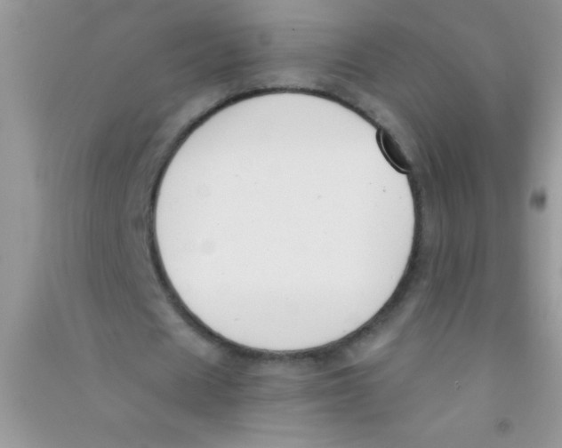 X0000090740625200708172008