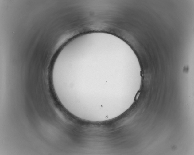 X0000090740626200708172008