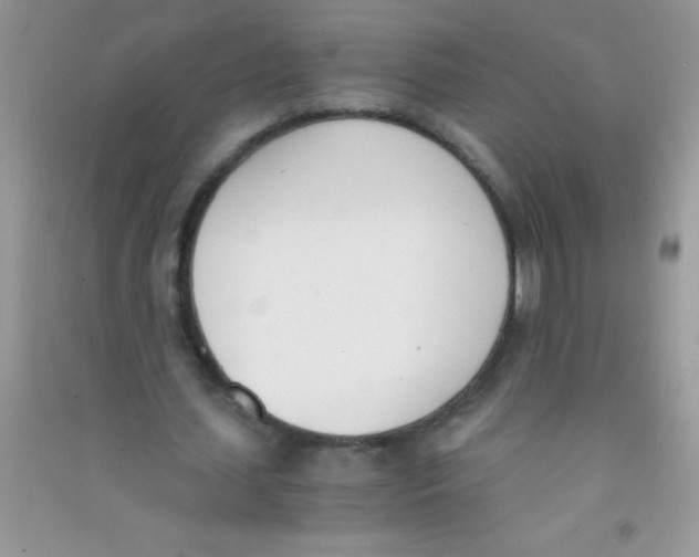 X0000090740627200708172008