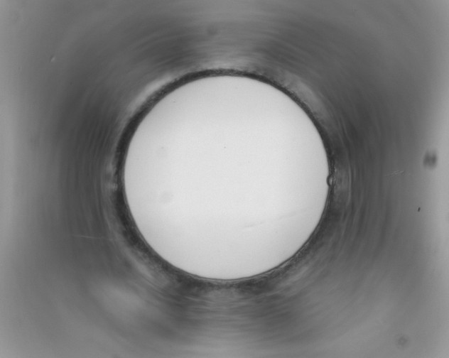 X0000090740628200708172008