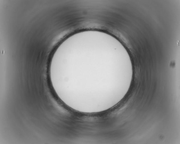 X0000090740629200708172008