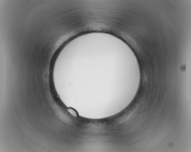 X0000090740630200708172008