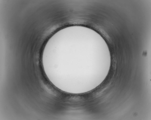 X0000090740631200708172008