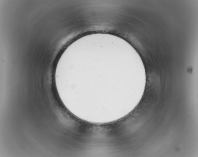 X0000090740632200708172008