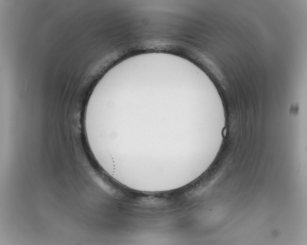 X0000090740633200708172008