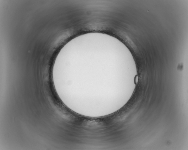 X0000090740635200708172008