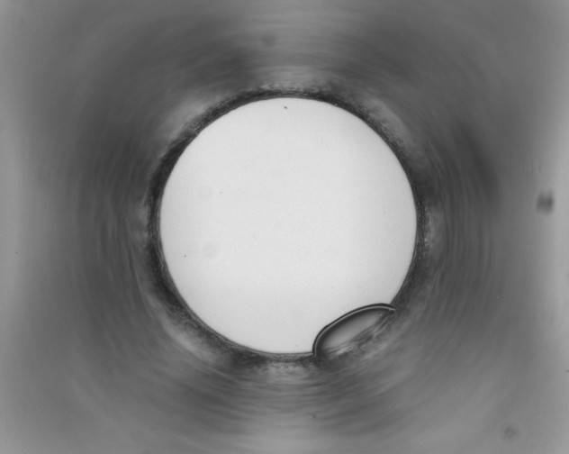 X0000090740636200708172008