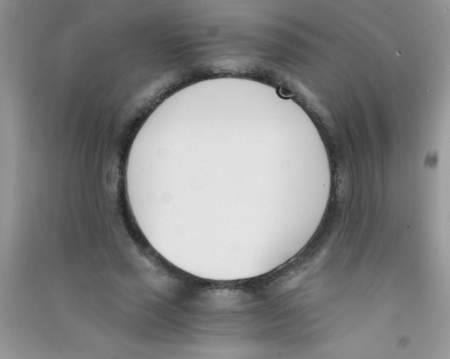 X0000090740637200708172008