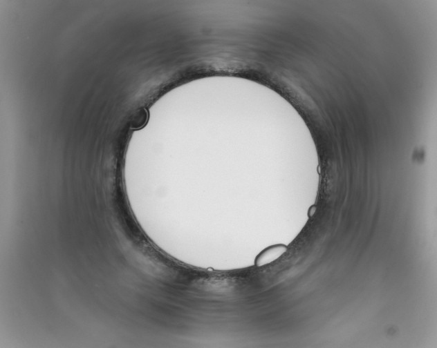 X0000090740639200708172008