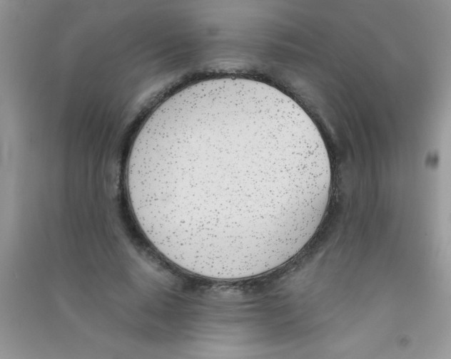 X0000090740640200708172008