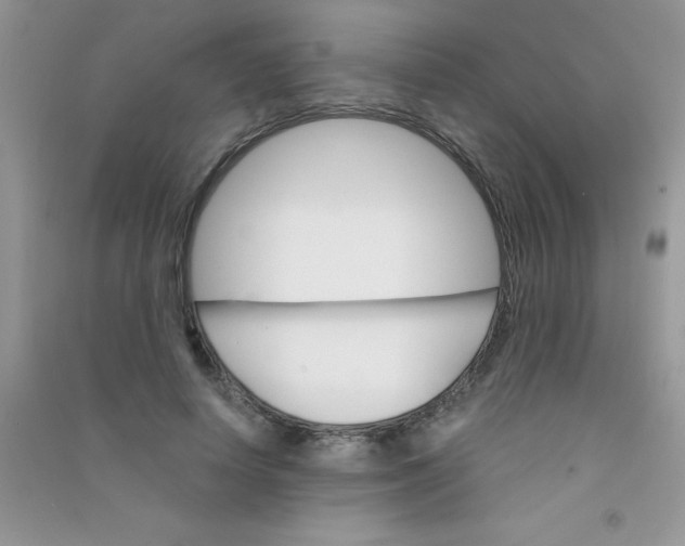 X0000090740642200708172008