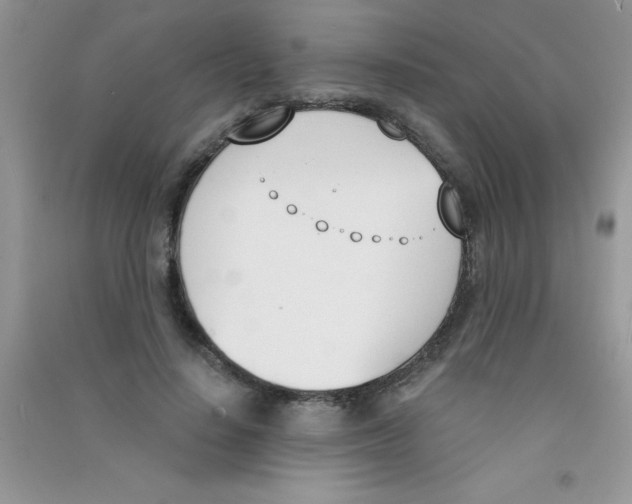 X0000090740644200708172008