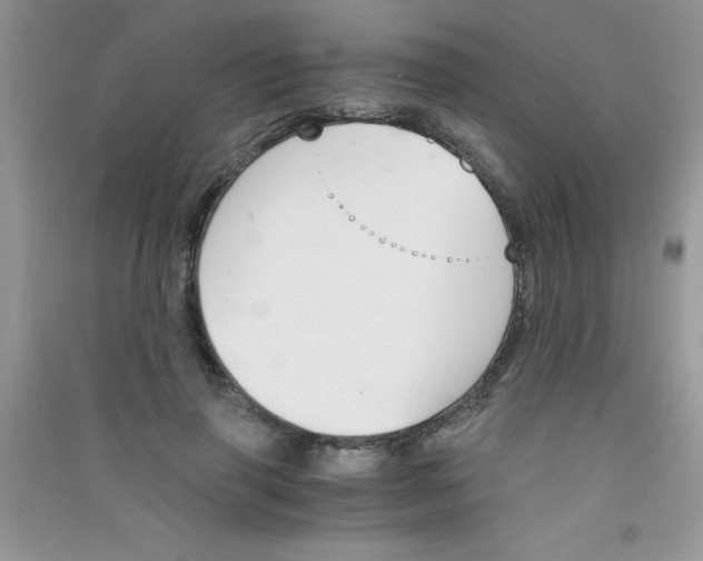 X0000090740645200708172008