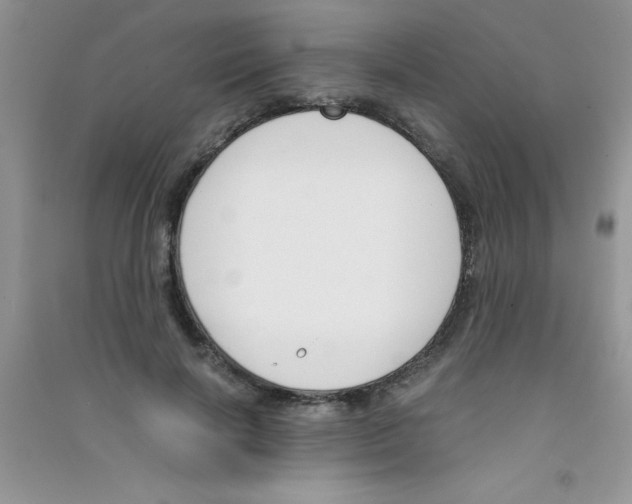 X0000090740646200708172008