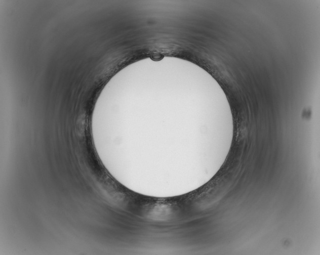 X0000090740647200708172008